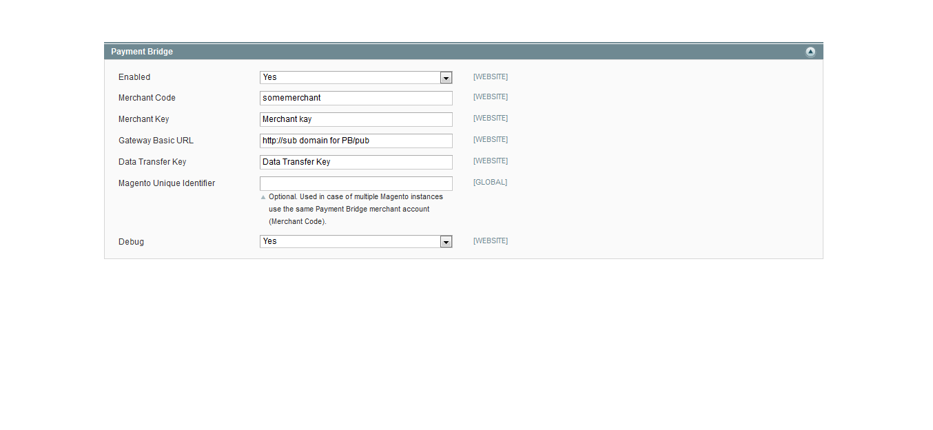 Payment Bridge option - Magento