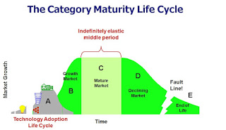 Category Maturity Life Cycle