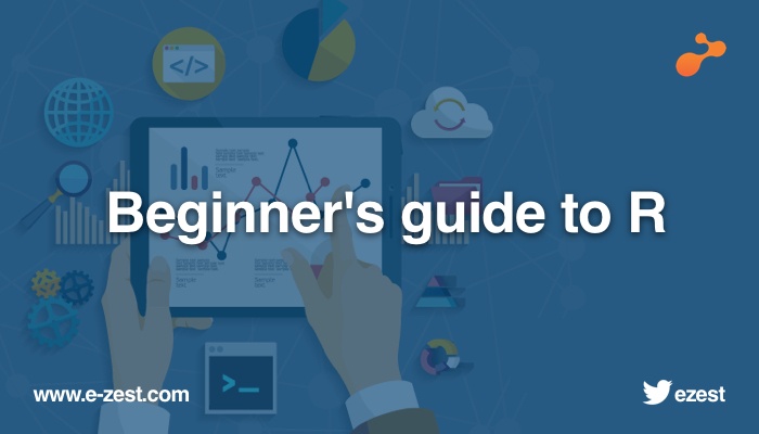 Beginner's guide to R.jpg