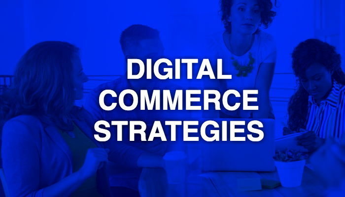 nidhi-digital-commerce-strategies.png