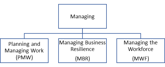 CMMI V2.0 Explained - Category 'Managing'
